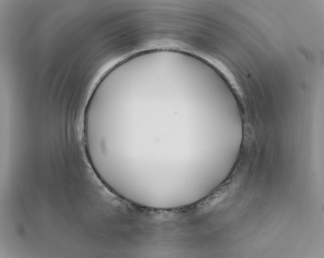 X0000111380815200908071233