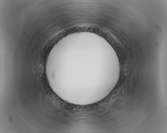 X0000111380821200908071233