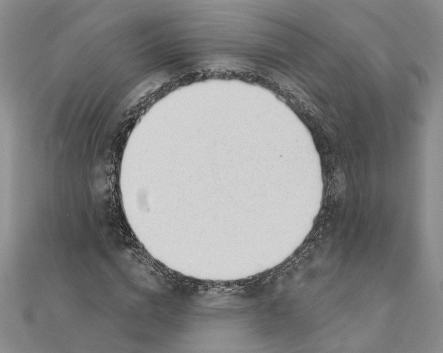 X0000111380824200908071233