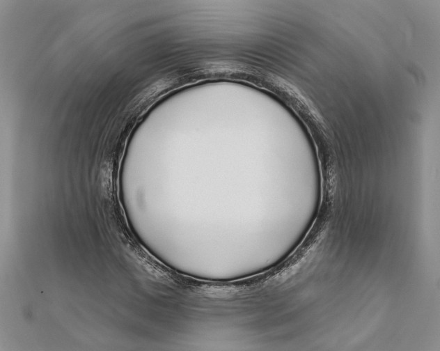 X0000111380825200908071233