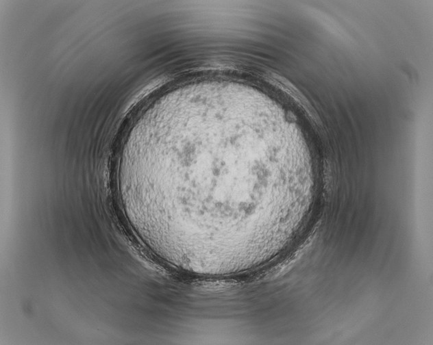 X0000111380826200908071233