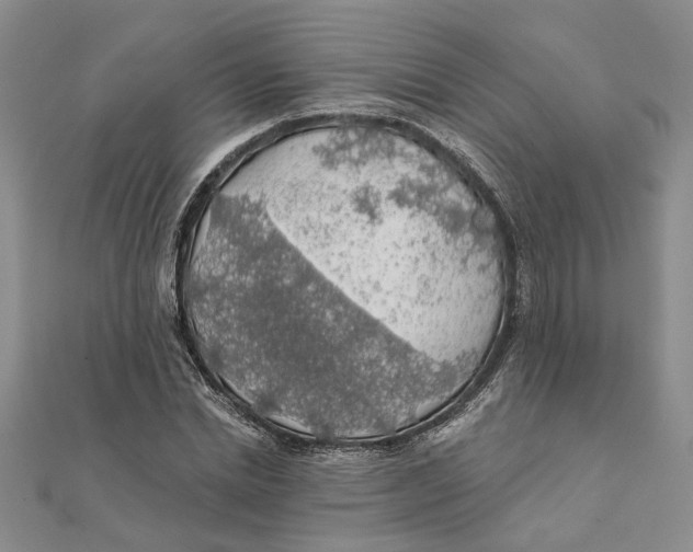 X0000111380830200908071233