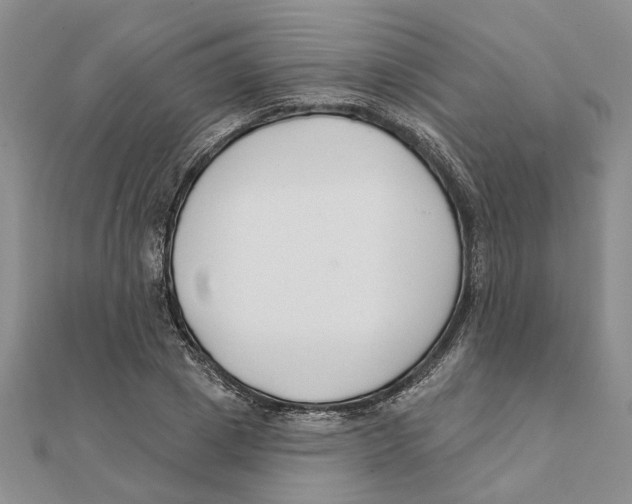 X0000111380833200908071233