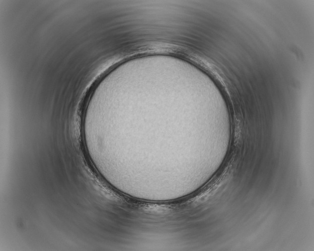 X0000111380835200908071233