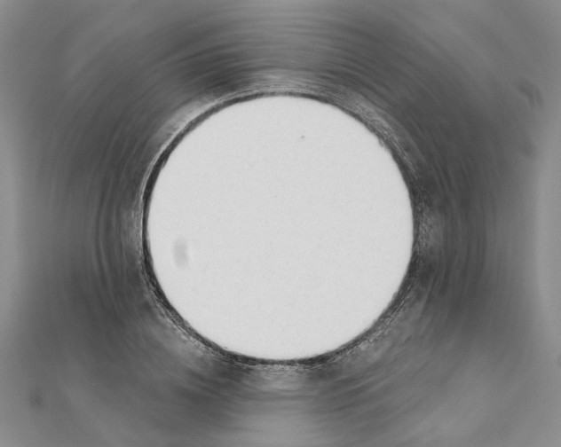 X0000111380836200908071233