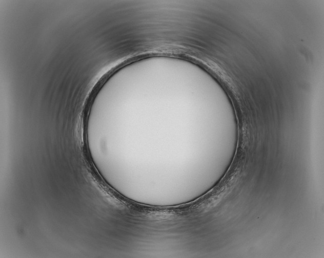 X0000111380838200908071233