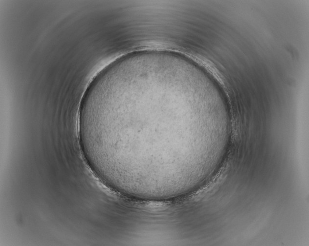 X0000111380839200908071233