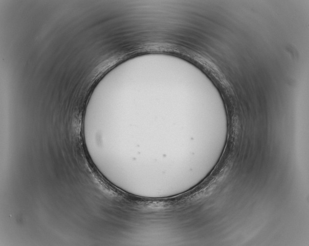 X0000111380841200908071233