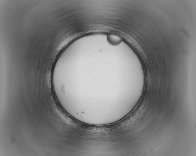 X0000111380842200908071233