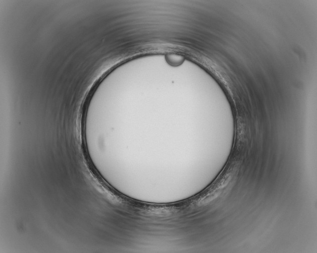 X0000111380843200908071233