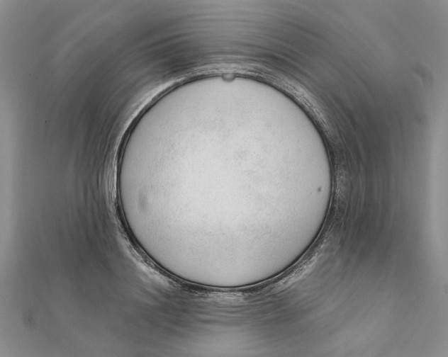 X0000111380844200908071233