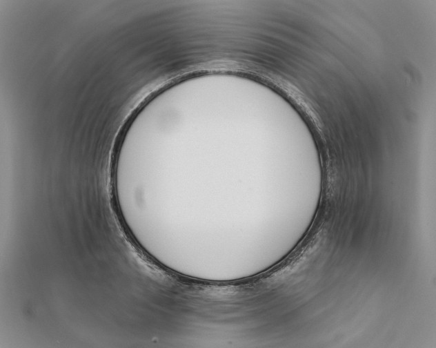 X0000111380845200908071233