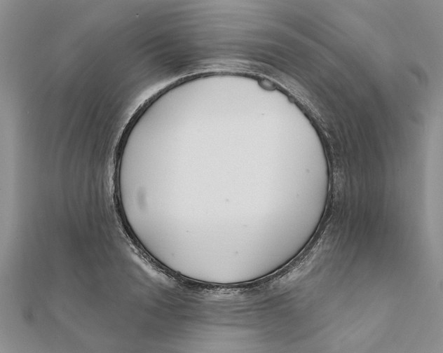 X0000111380846200908071233