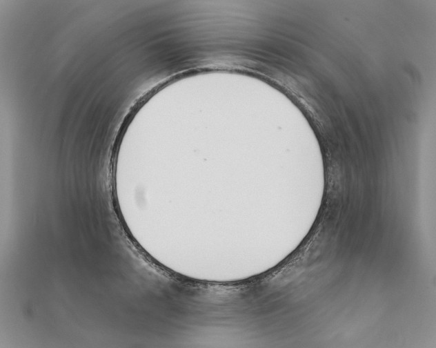 X0000111380848200908071233