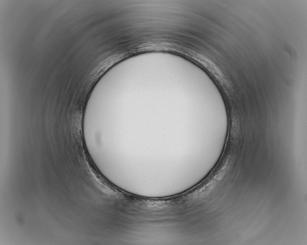 X0000111380849200908071233