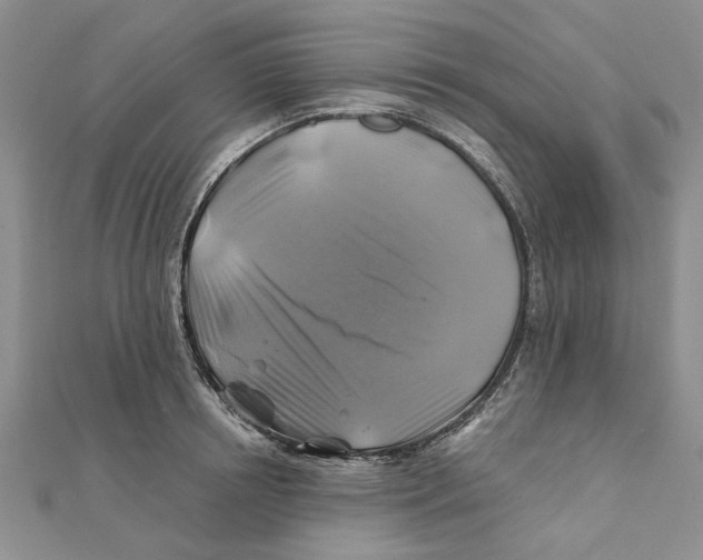 X0000111380850200908071233