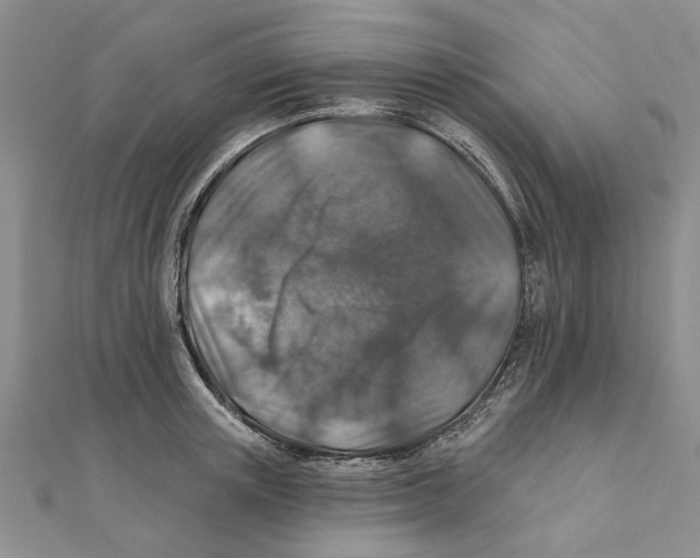 X0000111380851200908071233