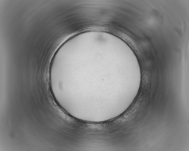 X0000111380852200908071233