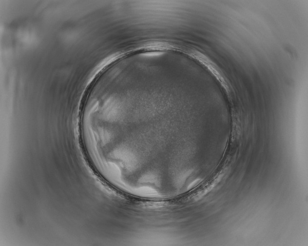 X0000111380853200908071233