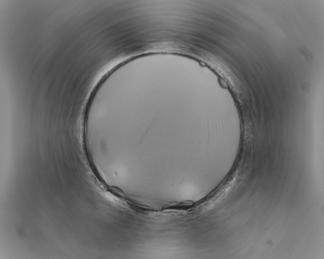 X0000111380854200908071233