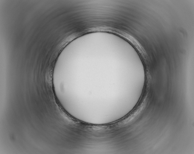 X0000111380857200908071233