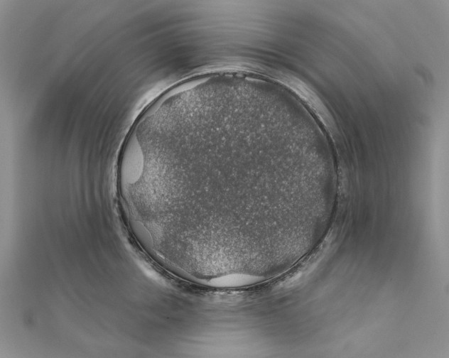 X0000111380858200908071233