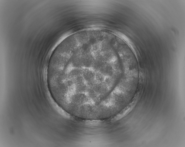 X0000111380859200908071233