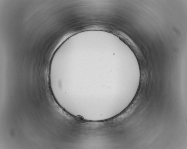 X0000111380860200908071233