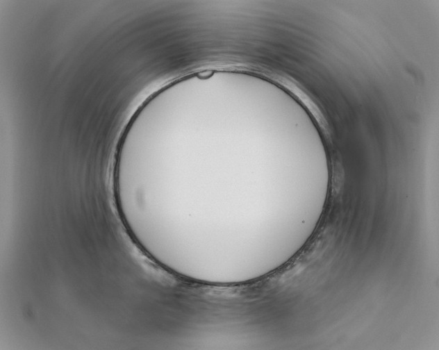 X0000111380861200908071233