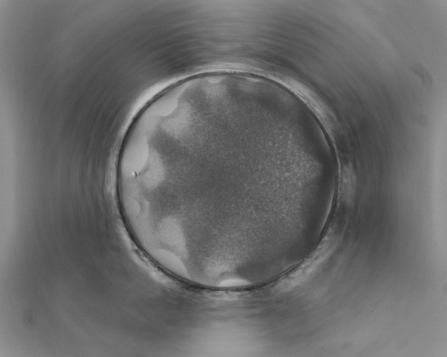 X0000111380862200908071233