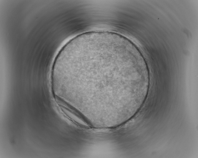 X0000111380864200908071233