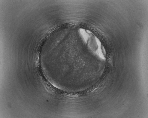 X0000111380868200908071233