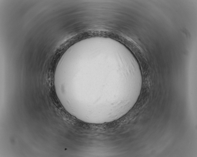 X0000111380870200908071233