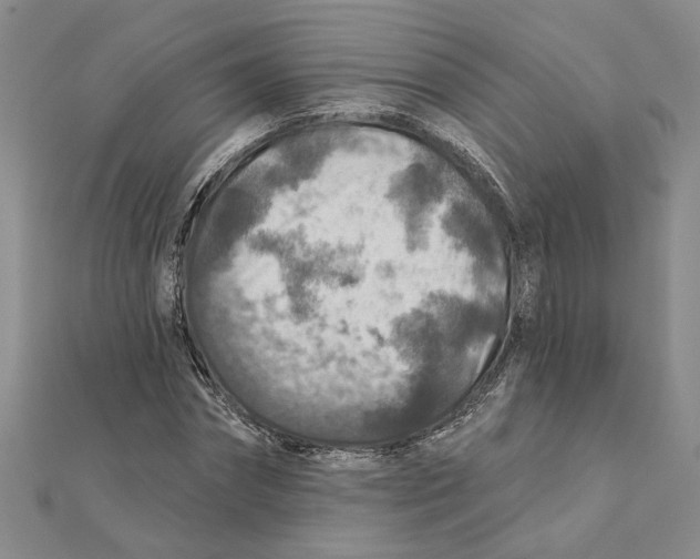 X0000111380874200908071233