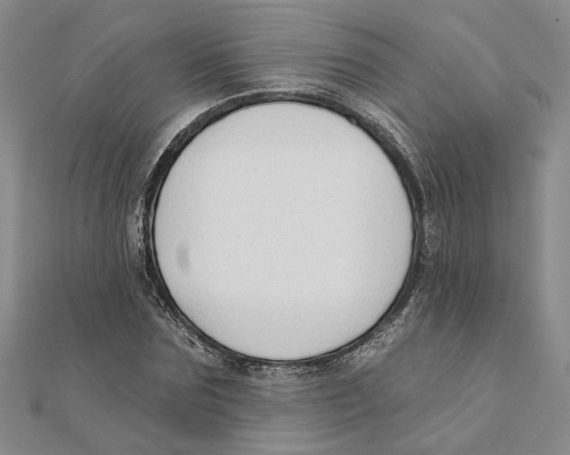 X0000111380875200908071233