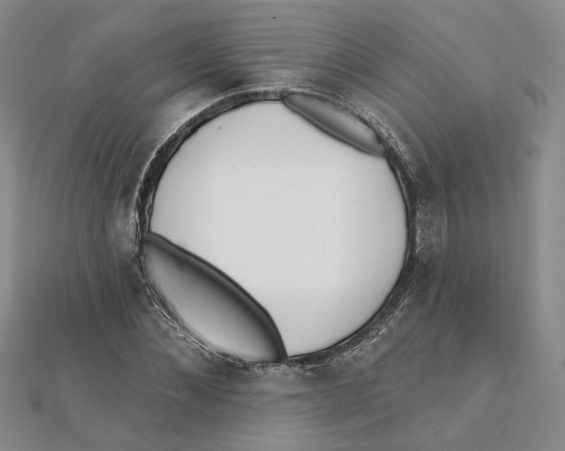 X0000111380876200908071233