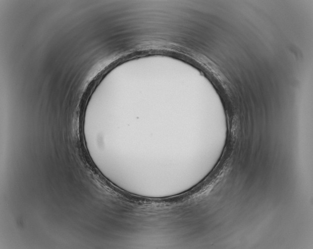 X0000111380877200908071233