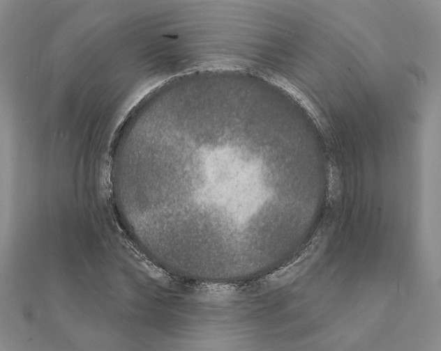 X0000111380878200908071233