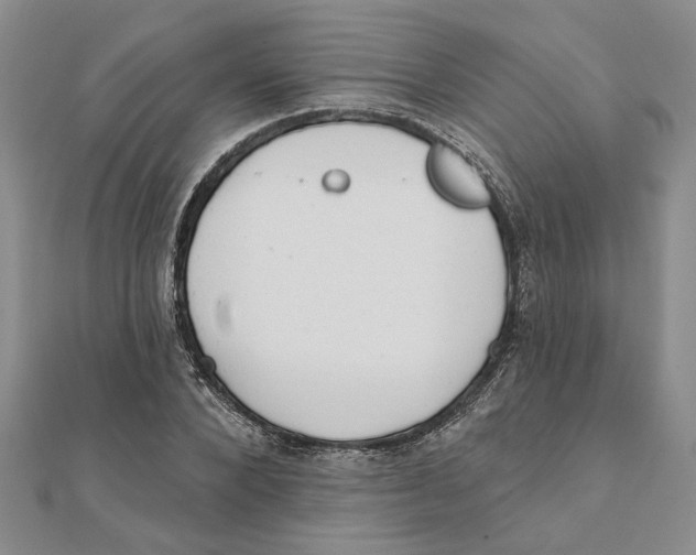 X0000111380880200908071233