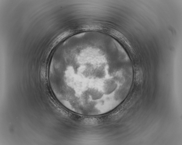 X0000111380882200908071232