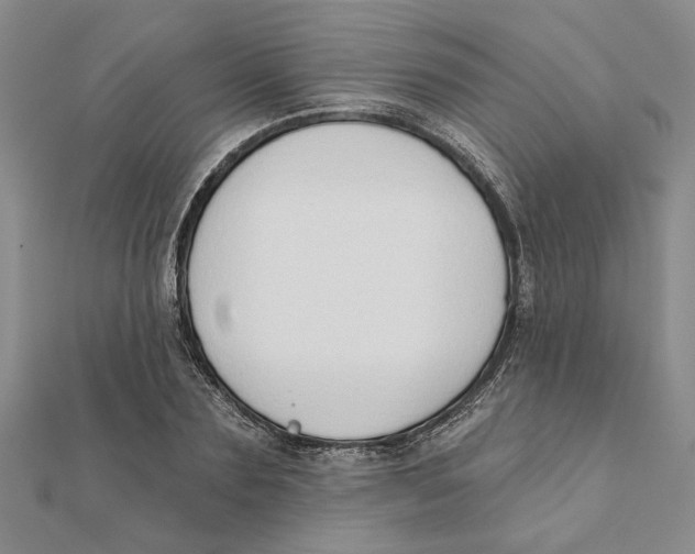 X0000111380883200908071232