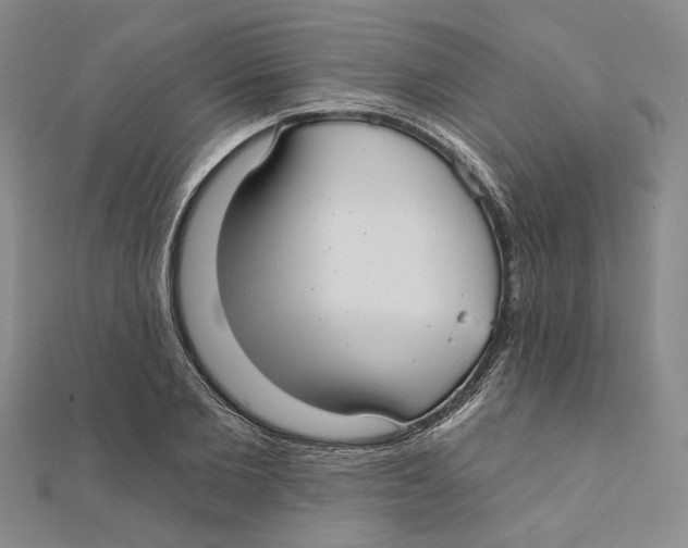 X0000111380885200908071232