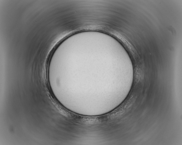 X0000111380886200908071232