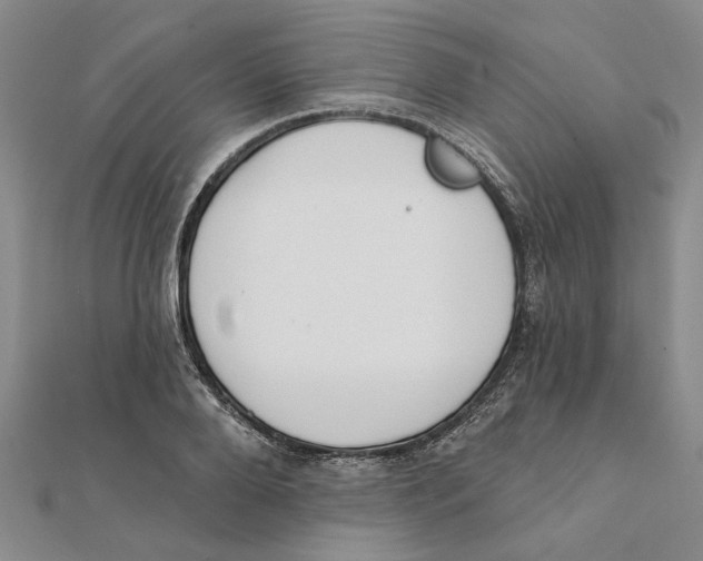 X0000111380888200908071232