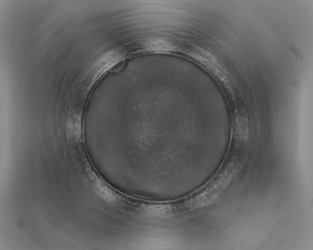 X0000111380889200908071232