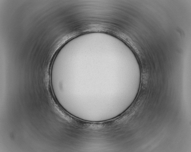 X0000111380890200908071232