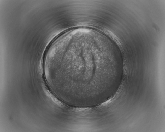 X0000111380892200908071232