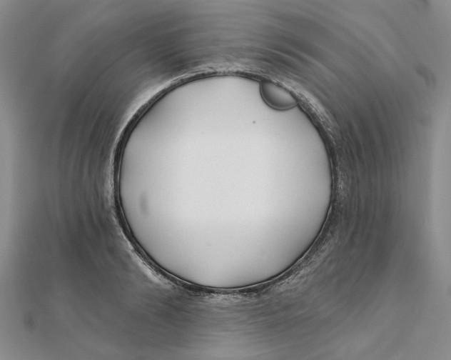 X0000111380894200908071232