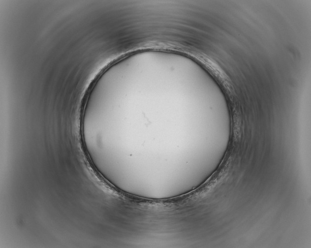 X0000111380896200908071232