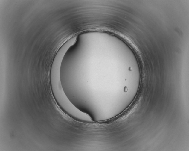 X0000111380897200908071232